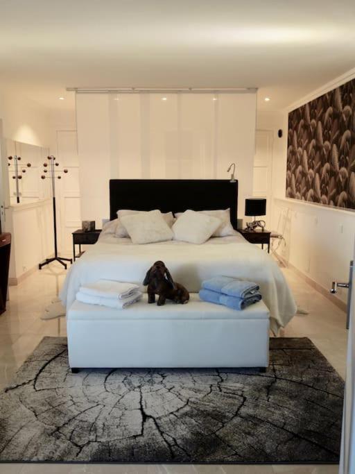 Elegant-Cosy 2P55M2 Dans Bas De Villa Provencale ! Villeneuve-Loubet Exterior foto