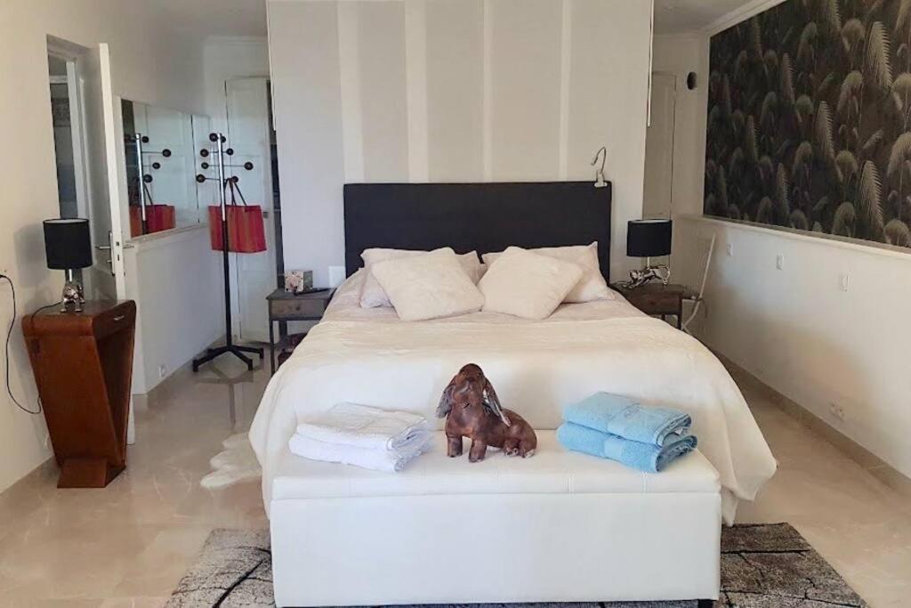 Elegant-Cosy 2P55M2 Dans Bas De Villa Provencale ! Villeneuve-Loubet Exterior foto